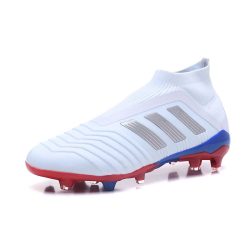 Adidas Predator 18+ FG - Telstar Wit Zilver_11.jpg